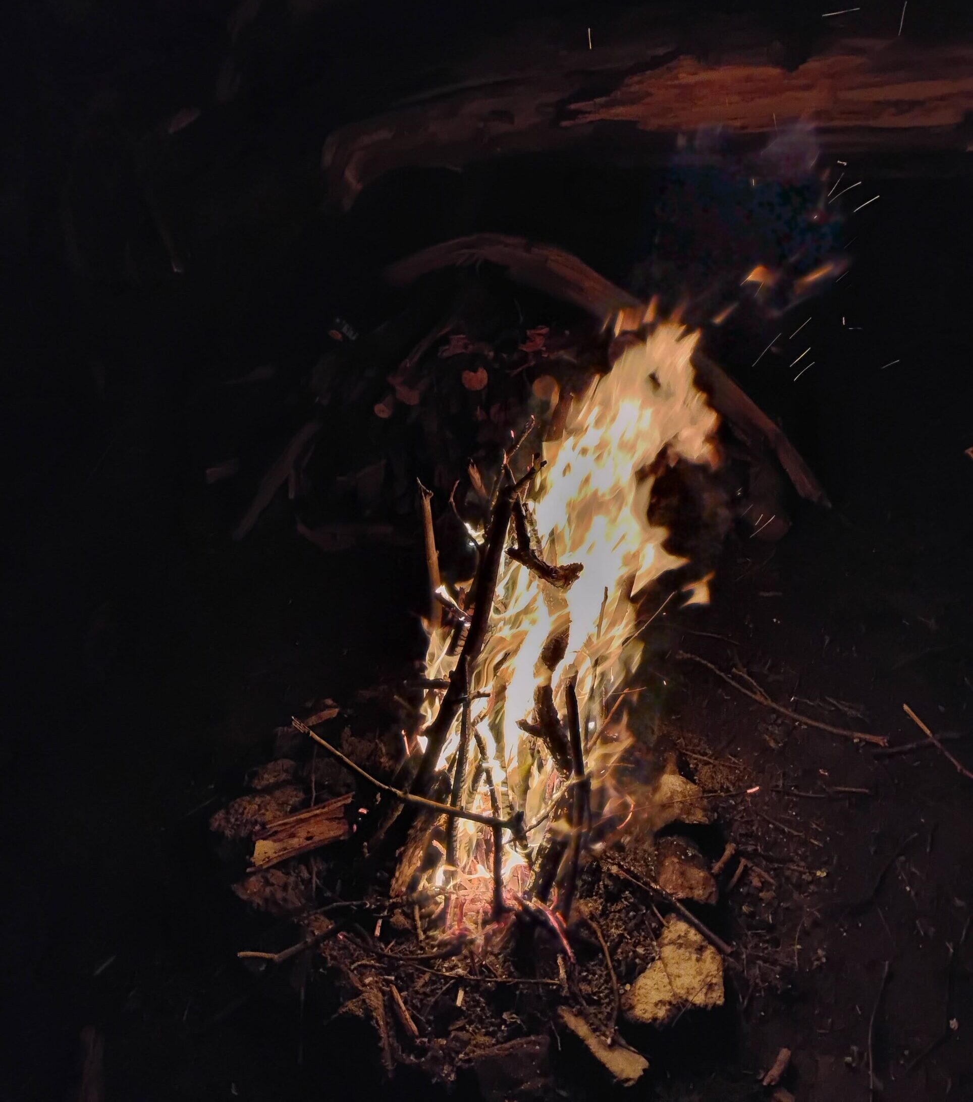 Bonfire Log